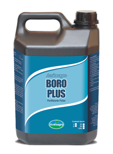 Boro Plus